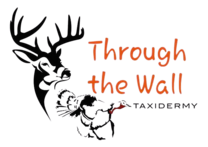 knowledgeable-amethyst-rooster.208-109-228-118.cpanel.site